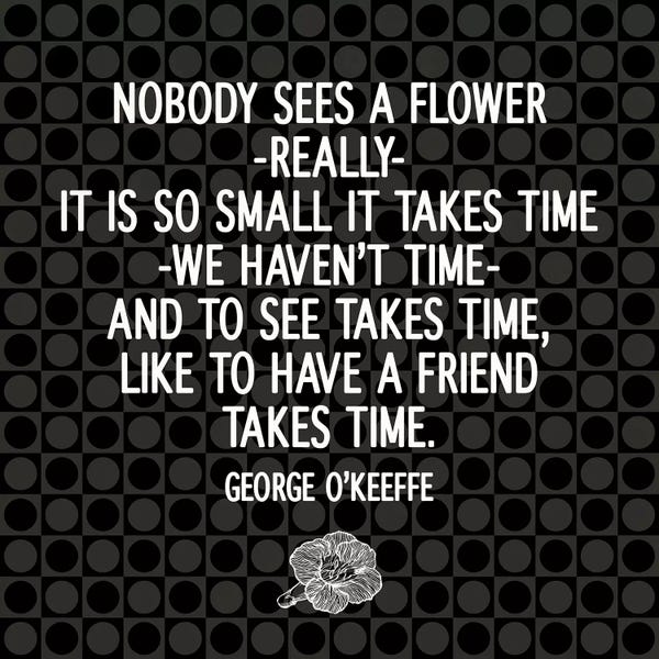 Take Time to See a Flower