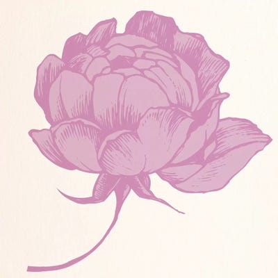 Rose (Pink) by 5by5collective canvas print