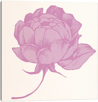 Rose (Pink) Canvas Art Print - Rose Art