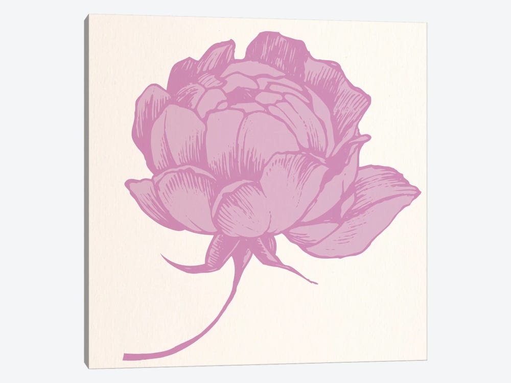Rose (Pink) by 5by5collective 1-piece Canvas Art