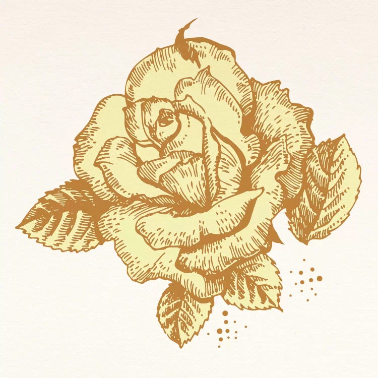 Yellow Rose