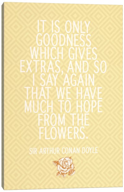 Goodness Gives Extras Canvas Art Print - Floral Pattern Collection
