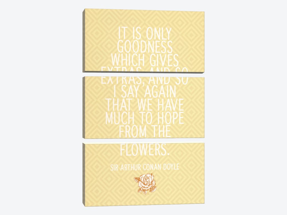 Goodness Gives Extras by 5by5collective 3-piece Canvas Artwork