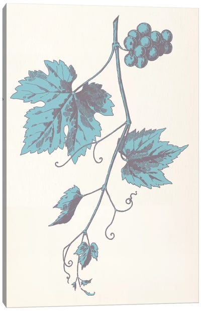 Rowan Strig (Blue) Canvas Art Print - Leaf Art