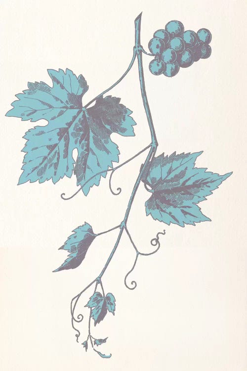 Rowan Strig (Blue) by 5by5collective wall art