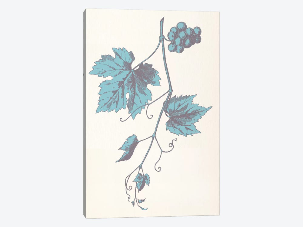 Rowan Strig (Blue) by 5by5collective 1-piece Canvas Artwork