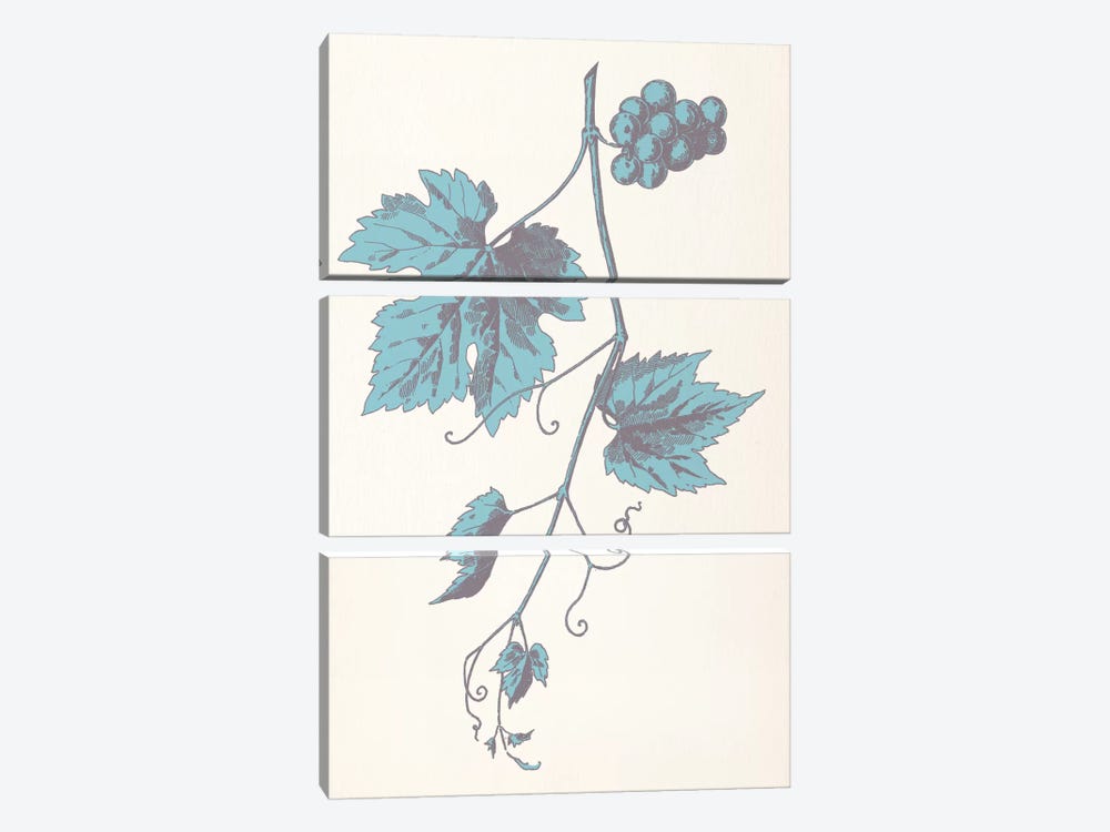 Rowan Strig (Blue) by 5by5collective 3-piece Canvas Wall Art