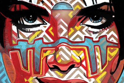 Camouflage by Fernan Mora framed canvas print