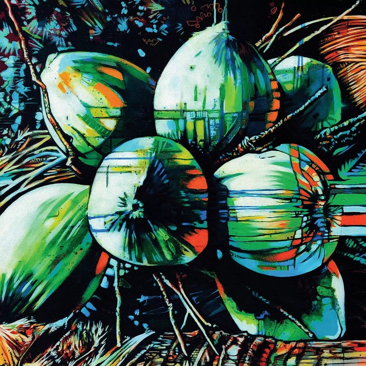 Tropical Fruit I by Fernan Mora wall art