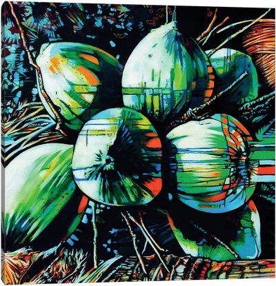Tropical Fruit I Canvas Art Print - Fernan Mora