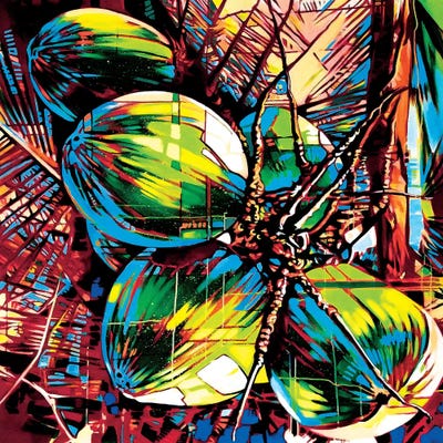 Tropical Fruit II by Fernan Mora framed canvas print