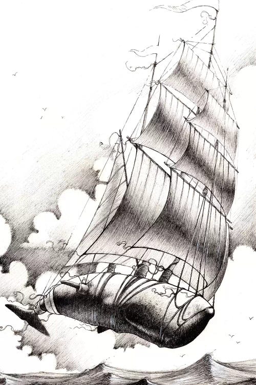 Flight Of Fancy by Fernan Mora wall art
