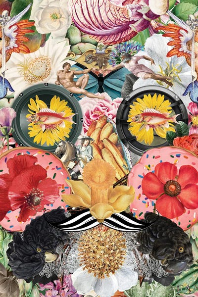 Mr. by Fan de Fantastica canvas print