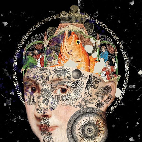 Crabs: Contemporary Morality I by Fan de Fantastica