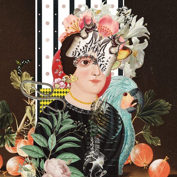 Skeletons: Pomegranate by Fan de Fantastica