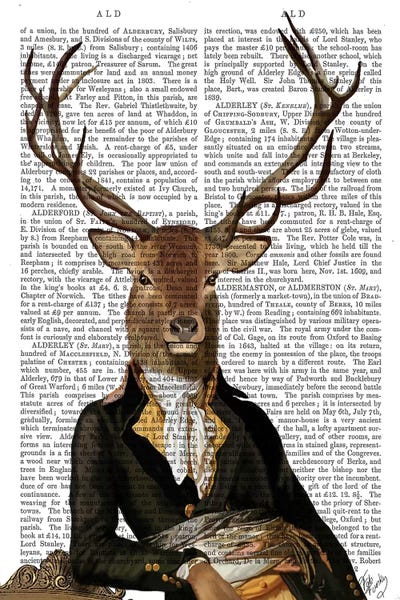 Deer In Chair