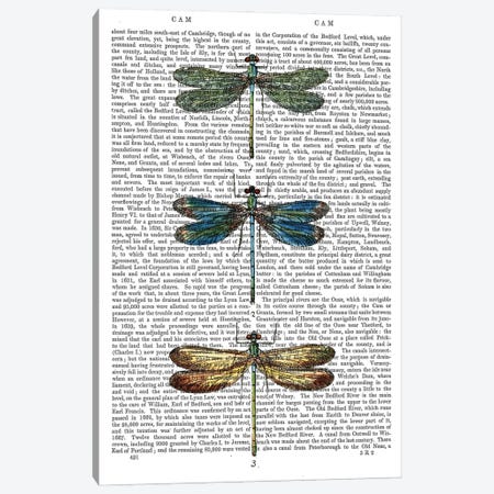 Dragonflies Print I Canvas Print #FNK1028} by Fab Funky Art Print