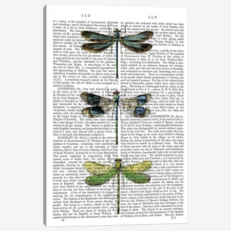 Dragonflies Print II Canvas Print #FNK1029} by Fab Funky Canvas Print