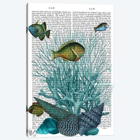 Fish Blue Shells & Corals, Print BG Canvas Print #FNK1042} by Fab Funky Canvas Print