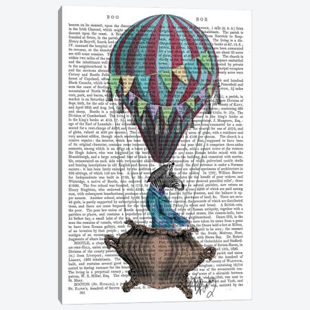 Flying Zebra, Print BG Canvas Print #FNK1055} by Fab Funky Art Print