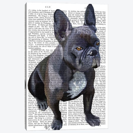 French Bulldog Canvas Print #FNK1065} by Fab Funky Canvas Artwork