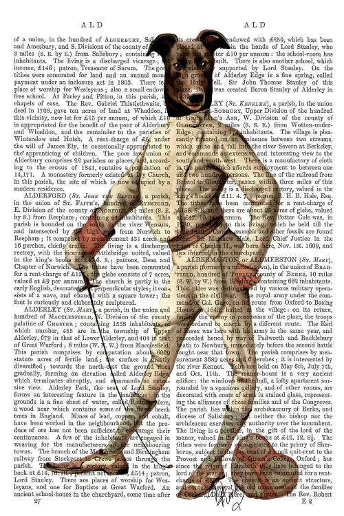 Greyhound Fencer In Cream, Print BG by Fab Funky wall art