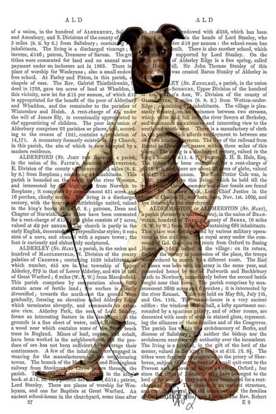 Greyhounds: Greyhound Fencer In Cream, Print BG by Fab Funky