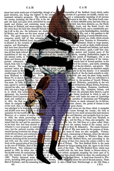 Horse Racing Jockey