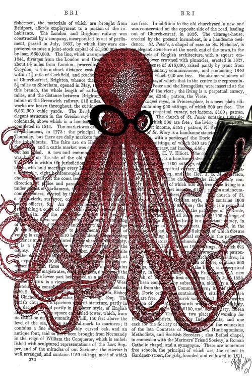 Intelligent Octopus