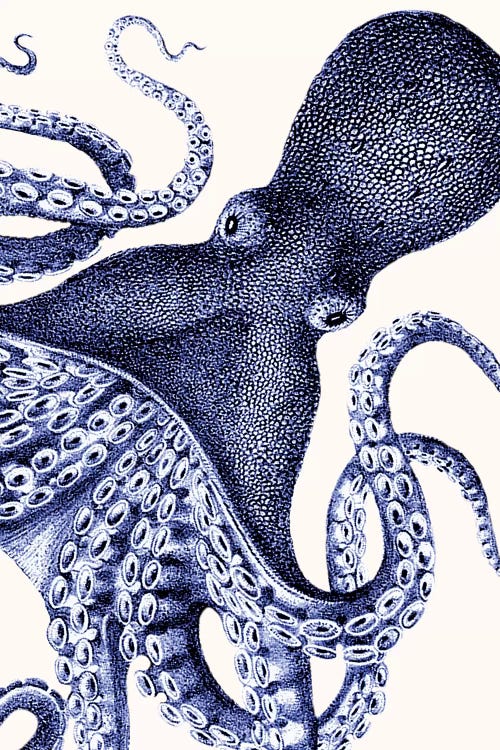 Landscape Blue Octopus