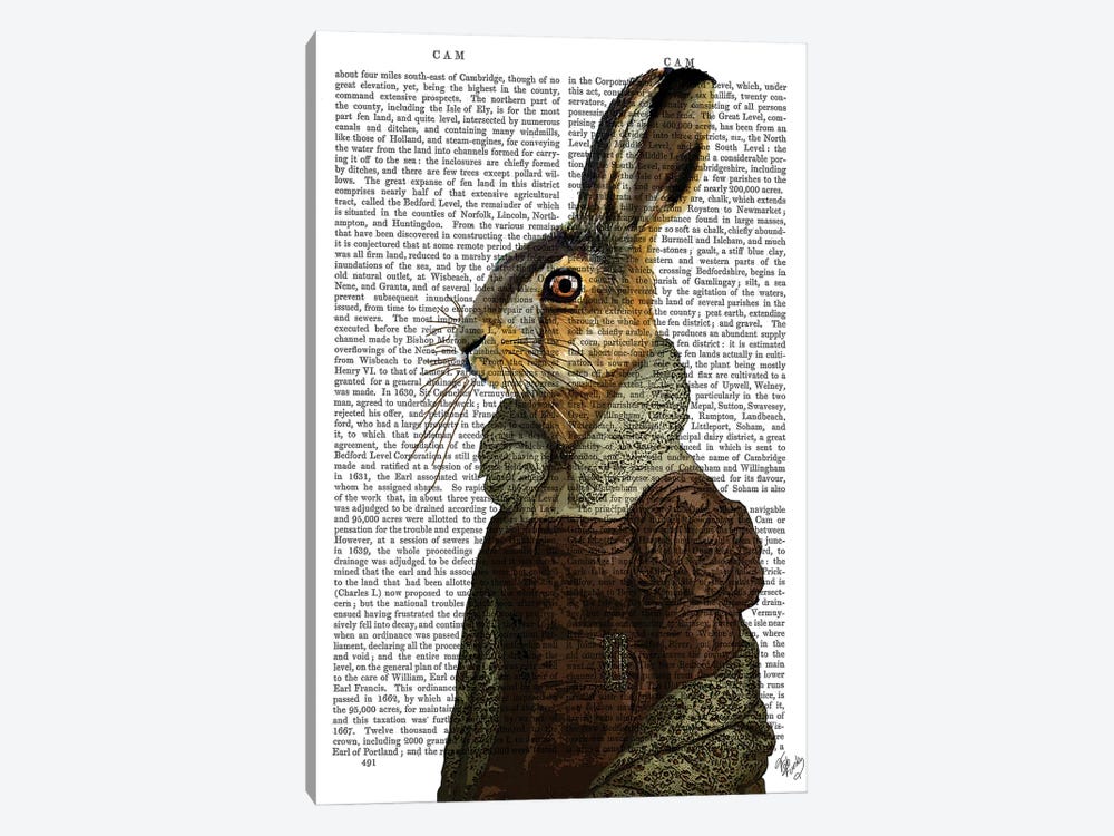 Madam Hare, Print BG by Fab Funky 1-piece Canvas Art