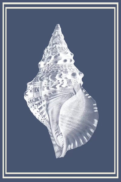 Sea Shells: Mixed Nautical White On Indigo Blue III by Fab Funky