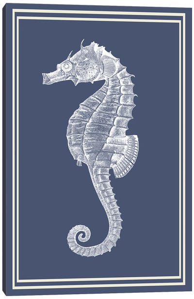 Mixed Nautical White On Indigo Blue IV Canvas Art Print - Seahorse Art