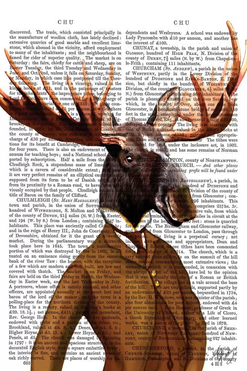 Moose In Suit Portrait