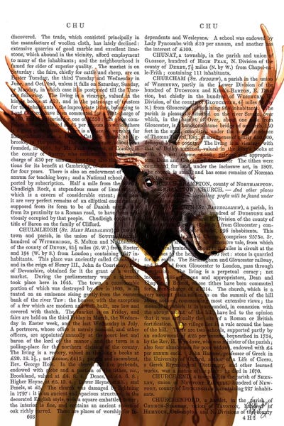 Moose In Suit Portrait