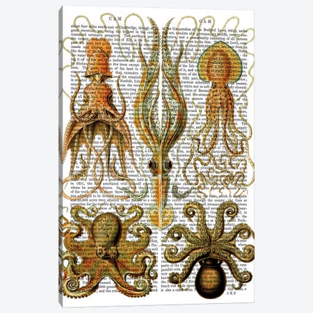 Octopus & Squid Canvas Print #FNK1181} by Fab Funky Canvas Artwork