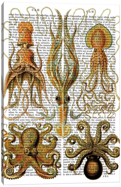 Octopus & Squid Canvas Art Print - Squid