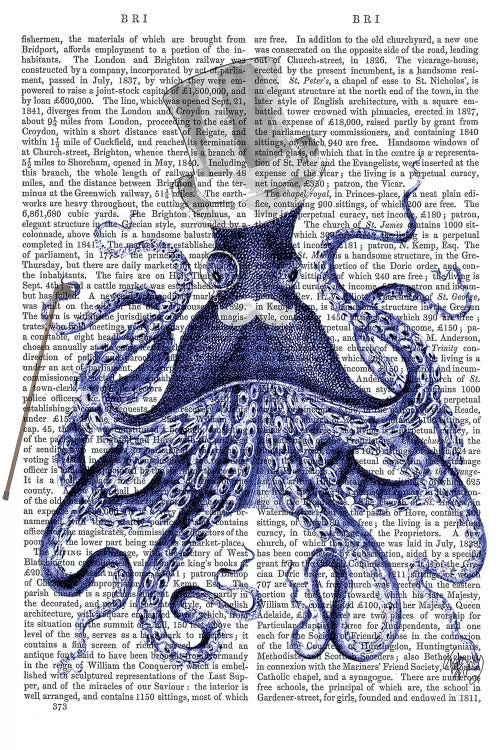 Octopus About Town, Print BG