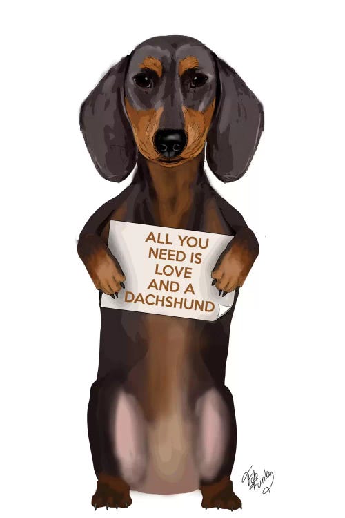 Dachshund