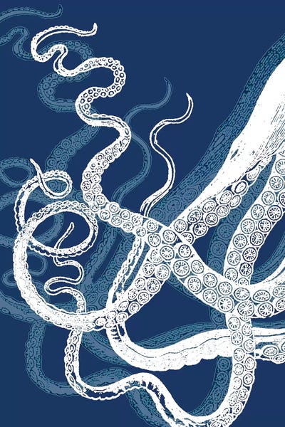 Kids Nautical Art: Octopus Tentacles, Blue & White by Fab Funky