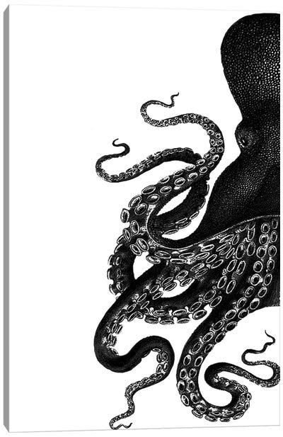 Octopus, Black & White I Canvas Art Print - Octopus Art