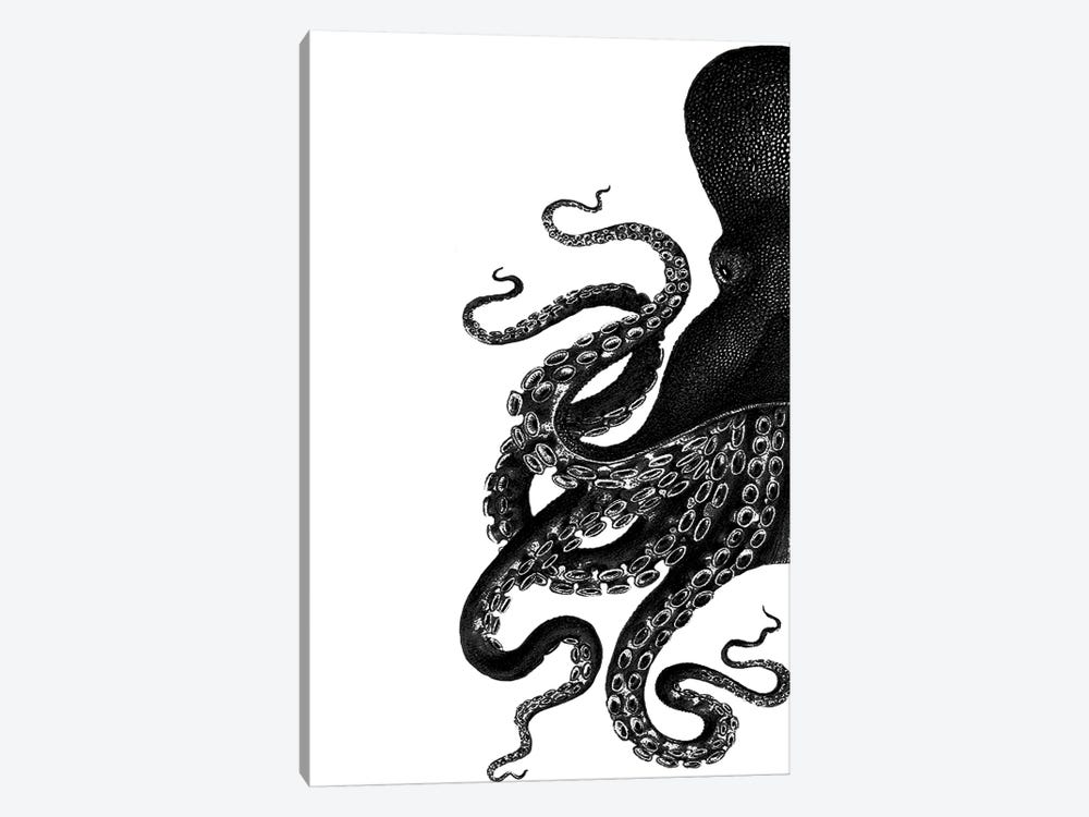 Octopus, Black & White I by Fab Funky 1-piece Canvas Artwork