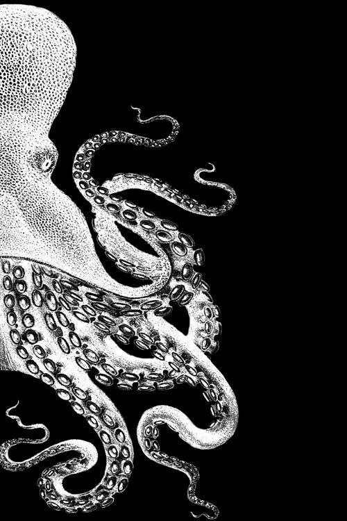 Octopus, Black & White II