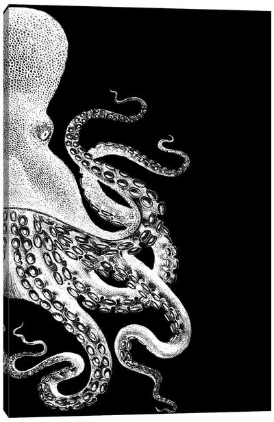 Octopus, Black & White II Canvas Art Print - Octopus Art