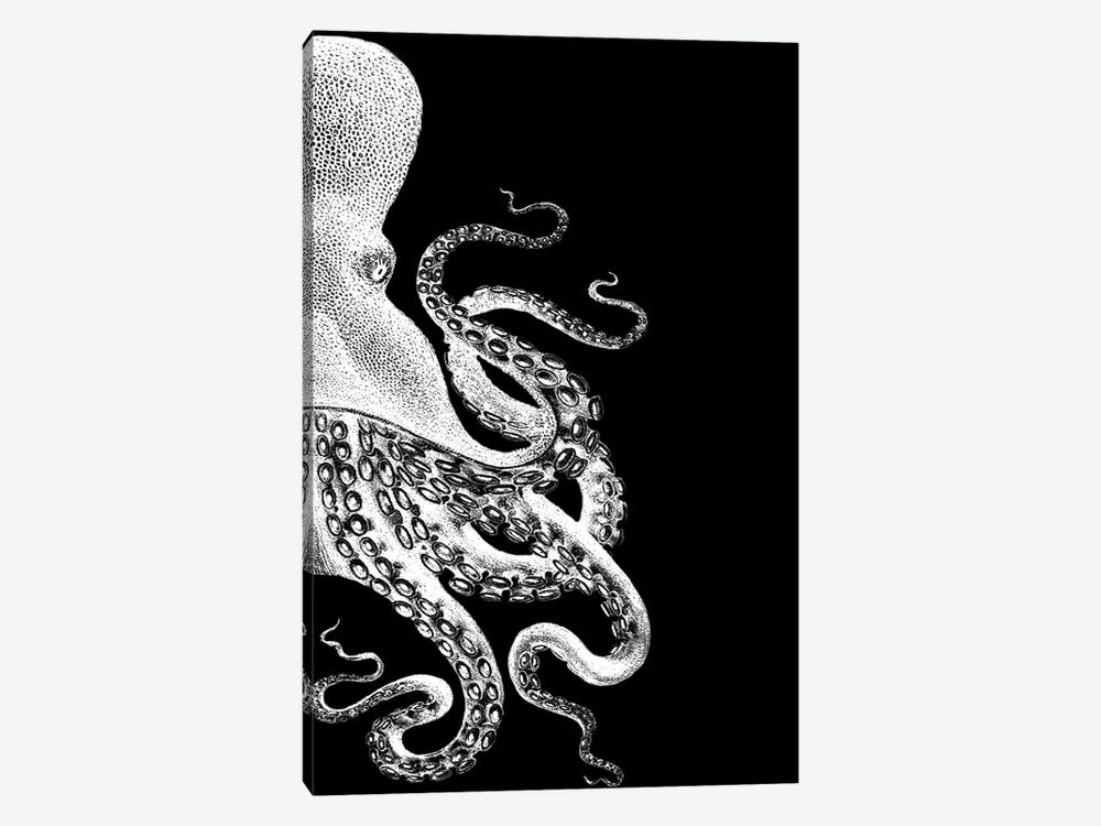 Octopus, Black & White II by Fab Funky 1-piece Canvas Print