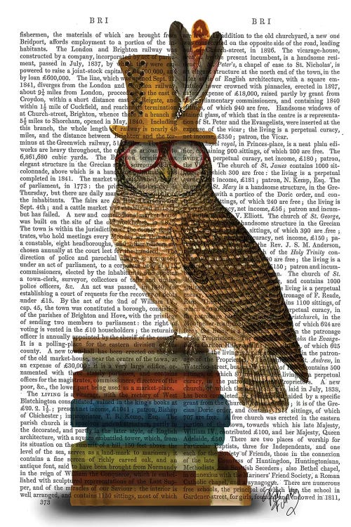 Owl On Books