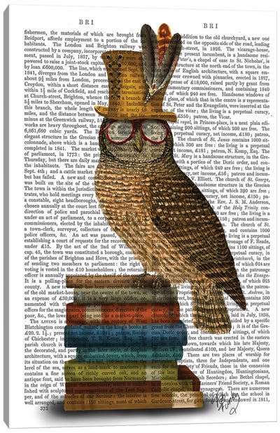 Owl On Books Canvas Art Print - Book Illustrations 