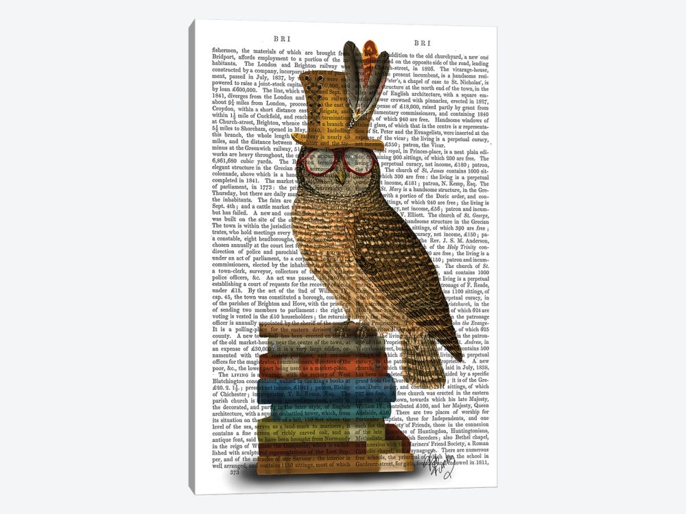 Owl On Books by Fab Funky 1-piece Canvas Wall Art