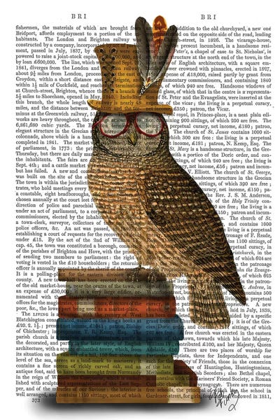 Illustrations: Owl On Books by Fab Funky