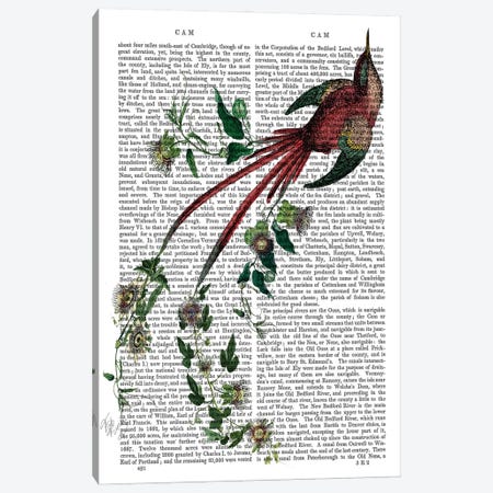 Passion Flower Bird Canvas Print #FNK1209} by Fab Funky Canvas Print